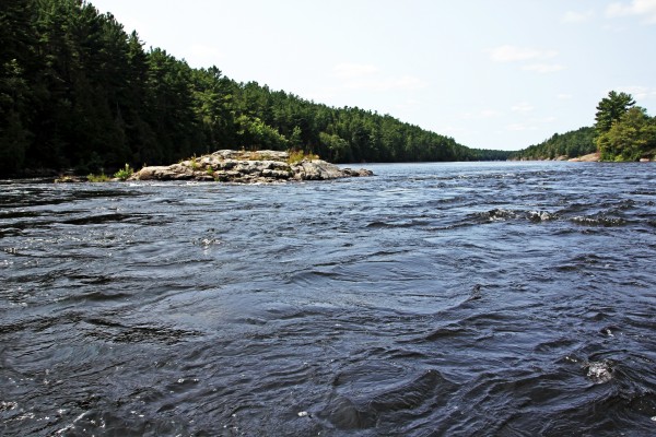 Flat Rapids French River I by Deb Oppermann